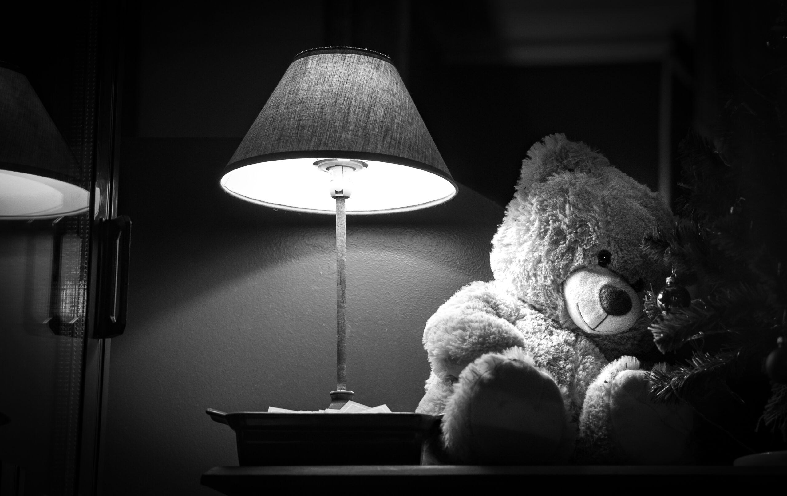 Vitrine Nuit Boutique Le Mans