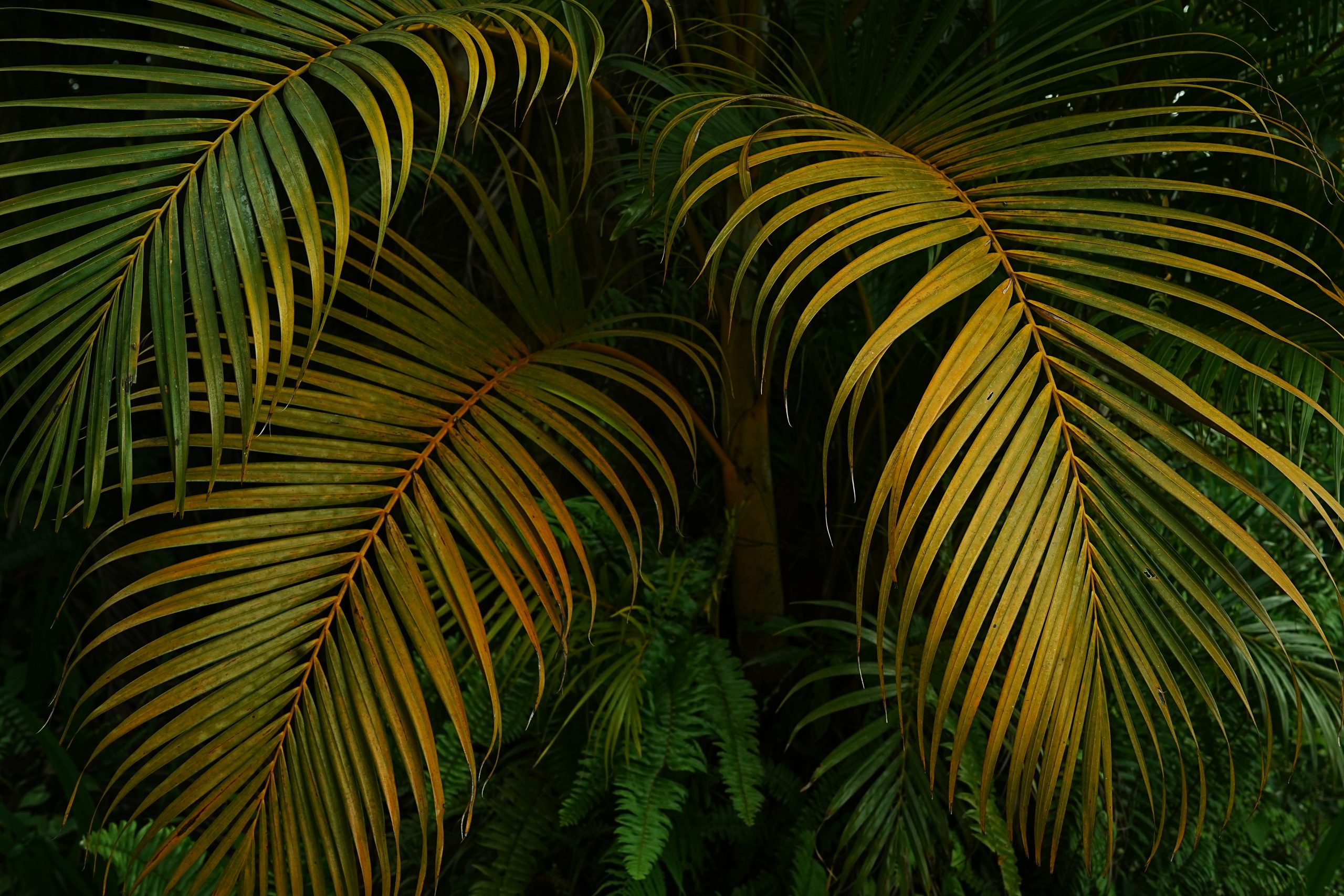 DSC01695