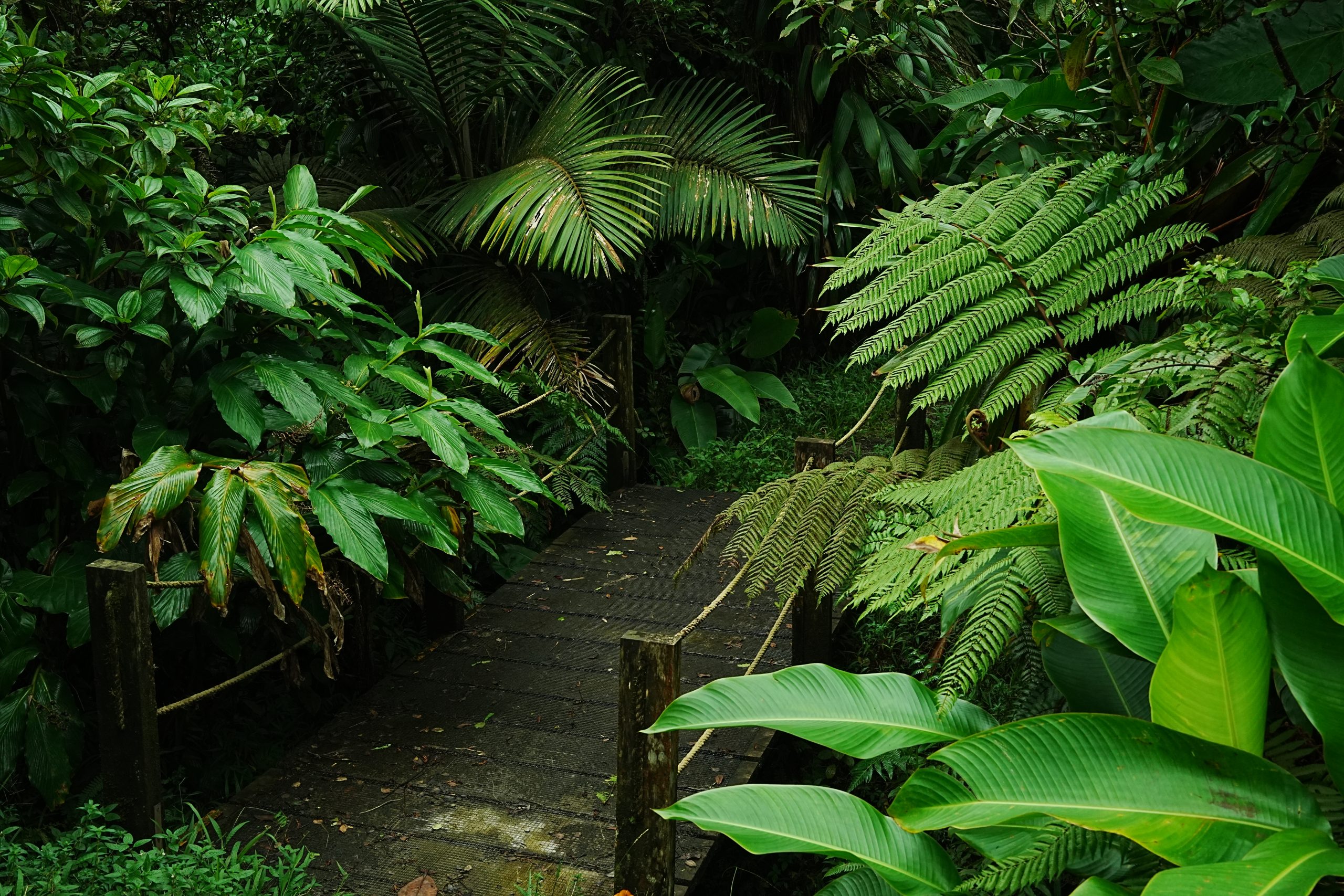 DSC01804