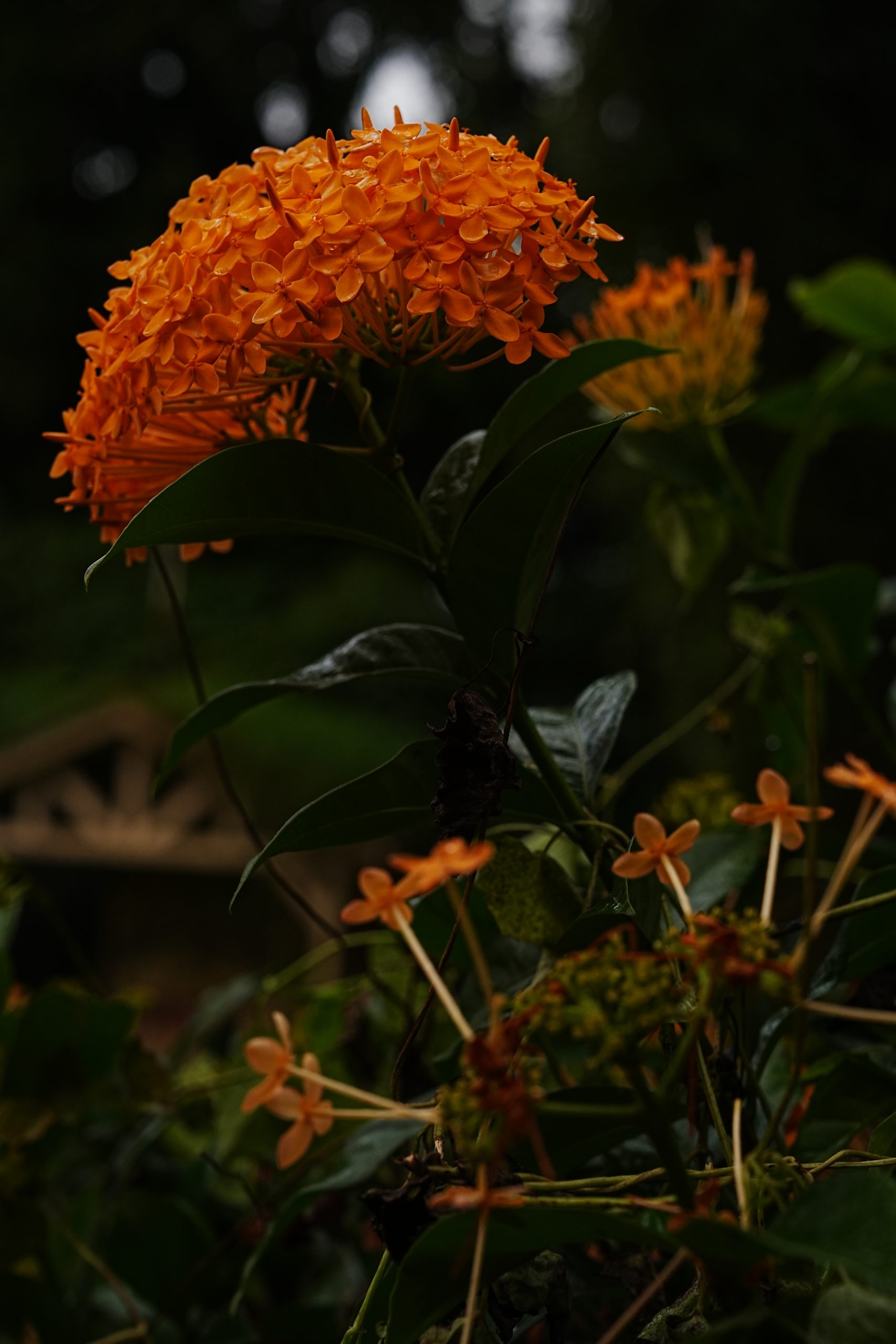 DSC02669