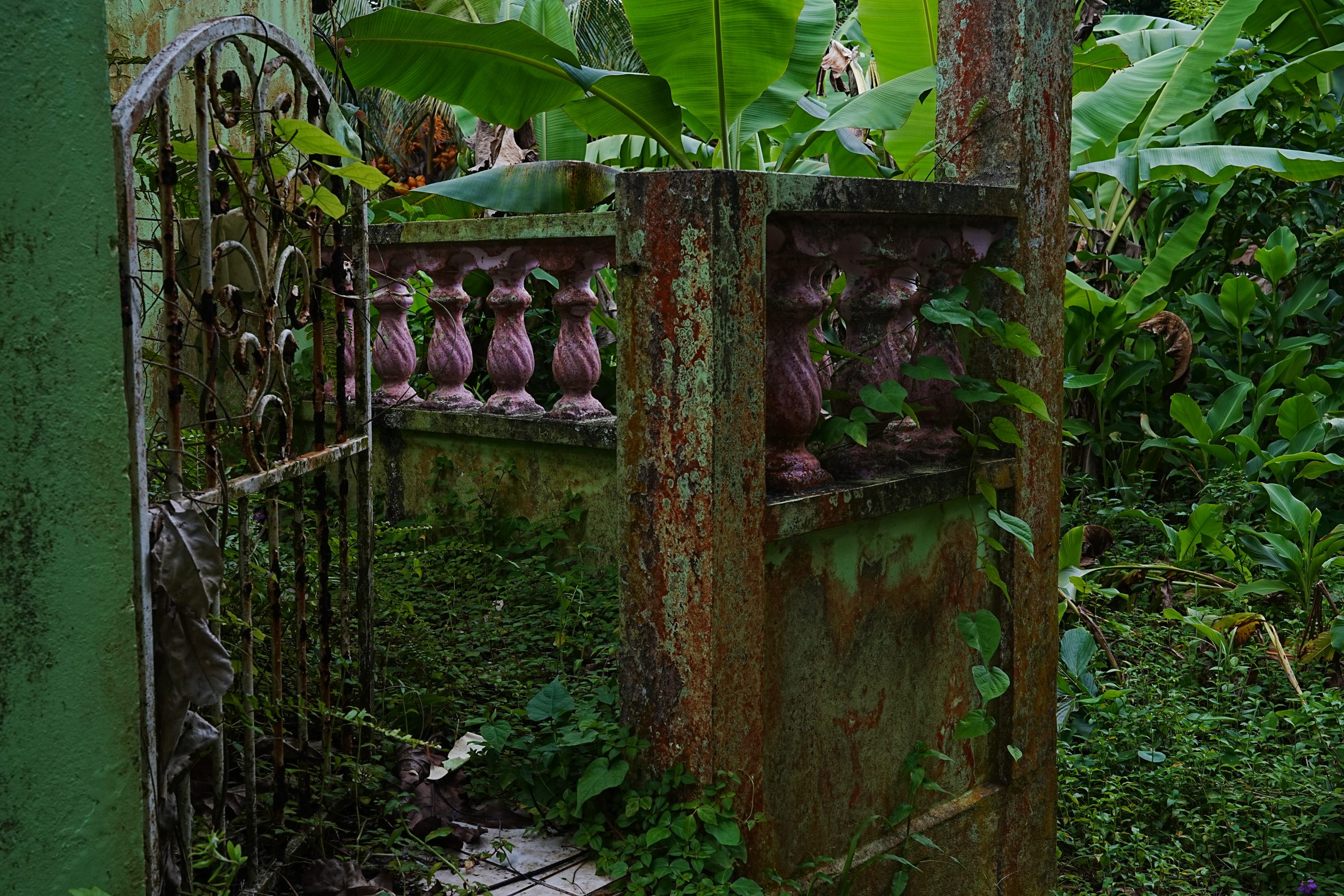 DSC03996