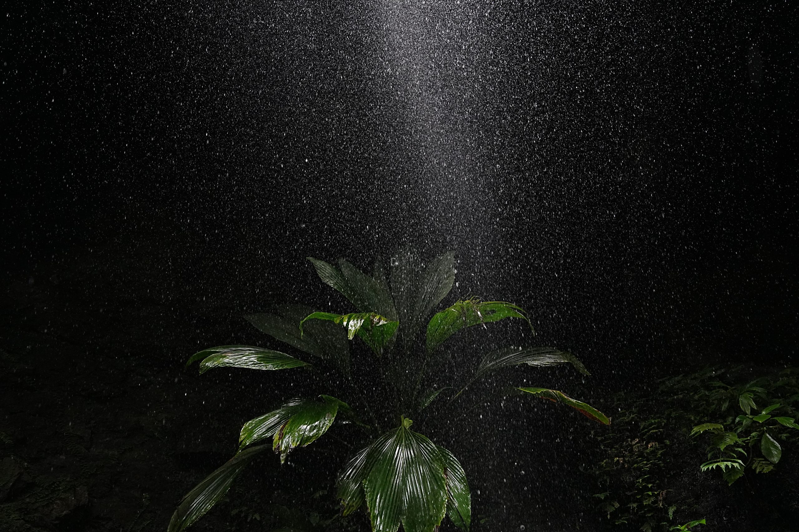 DSC05279